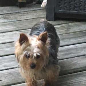 Meet your Posher, Jacqueline